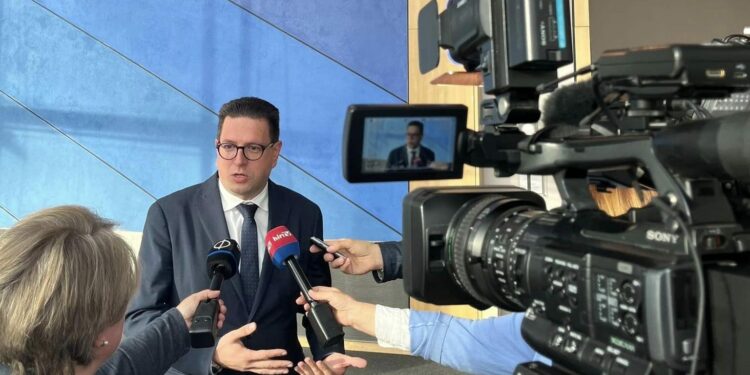 Romanian-Hungarian MEP Calls on Stronger Minority Rights Protection