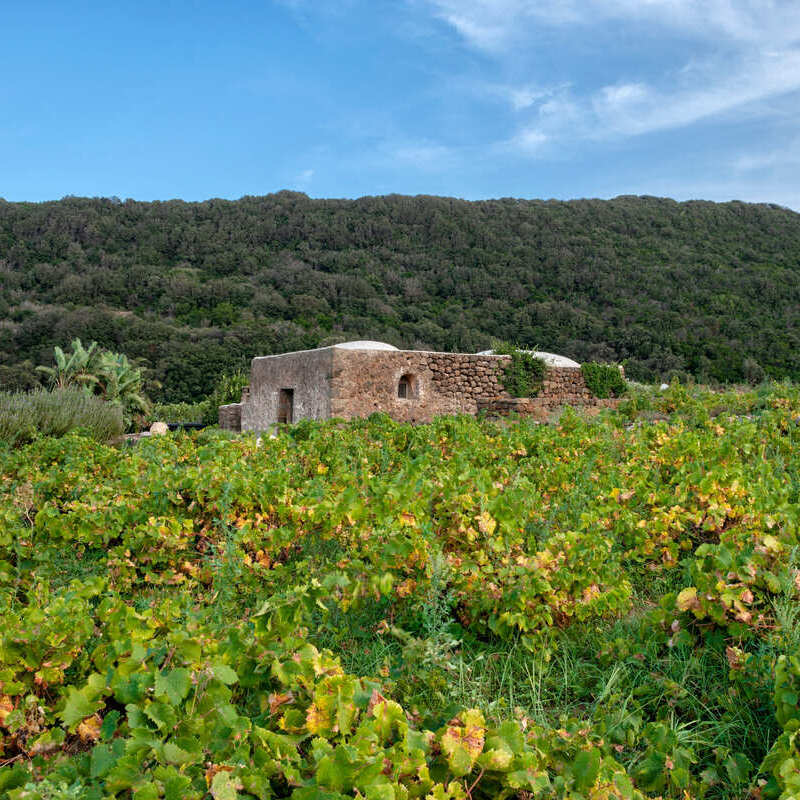 Countryside In Pantelleria, Italy