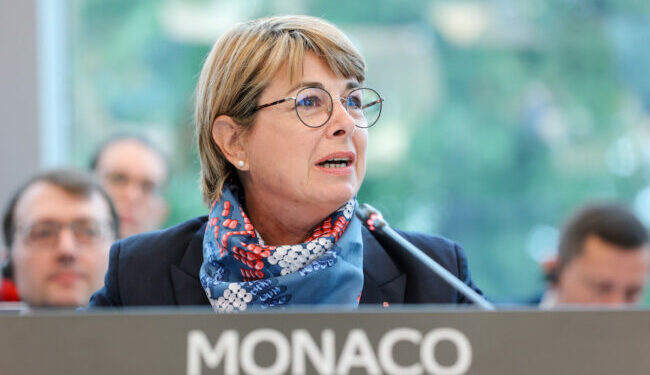 Monaco participates in the 133rd Ministerial Session of the Council of Europe