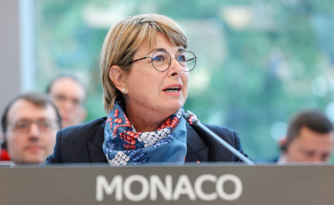 Monaco participates in the 133rd Ministerial Session of the Council of Europe