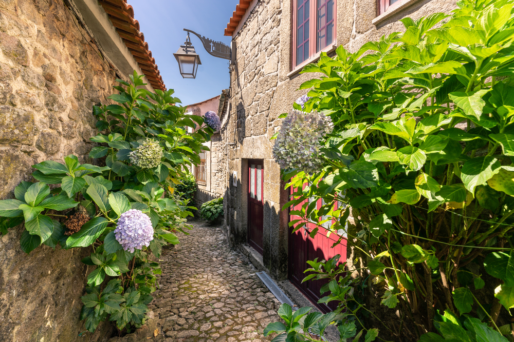 Cobblestone street decorated with green plants. 