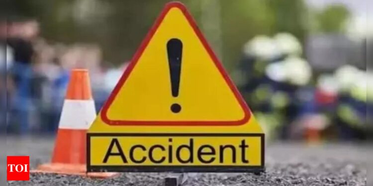 Two migrants dead, many injured after van crashes in Croatia