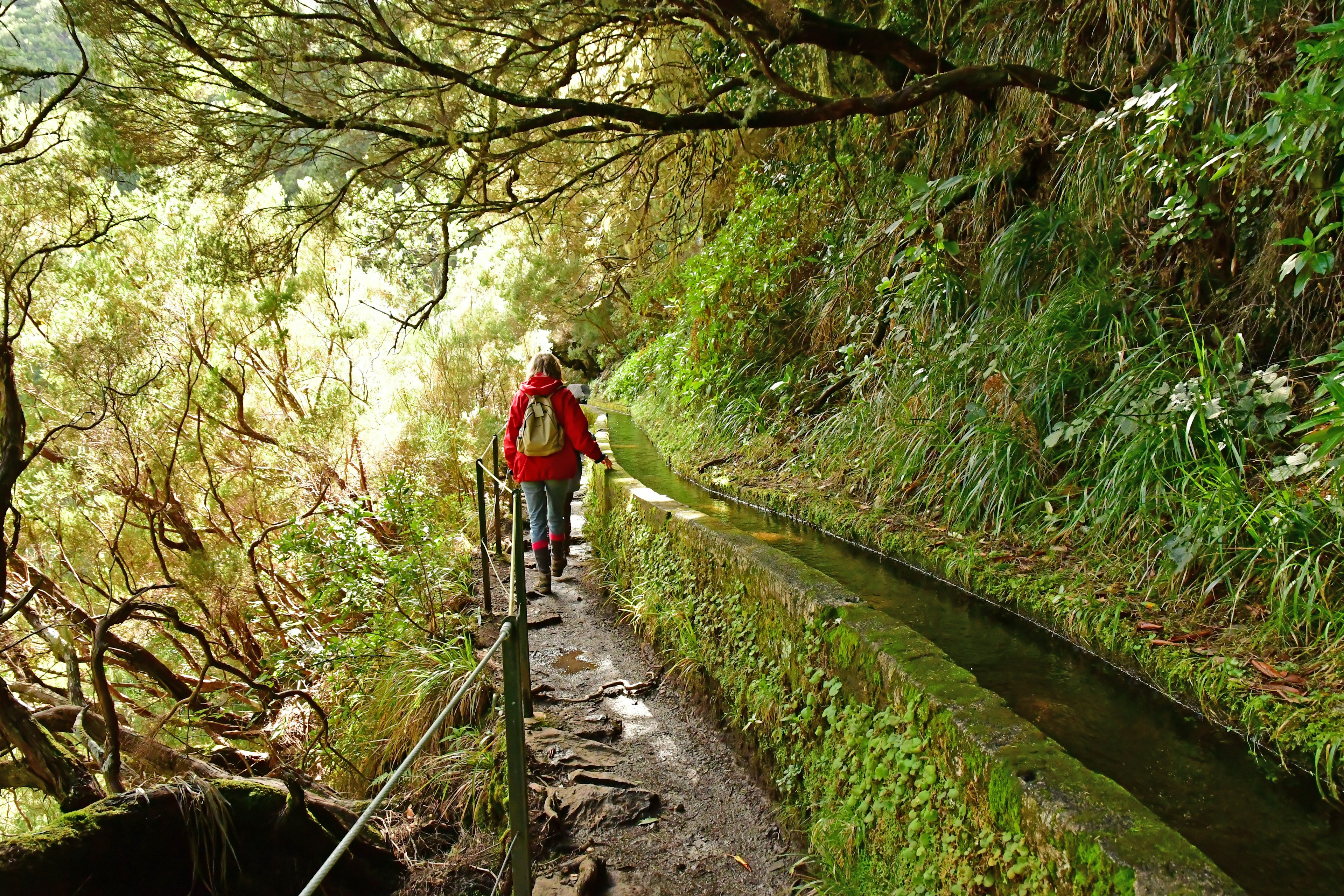 A woman walks along a levada in Madeira, with lots of greenery around.