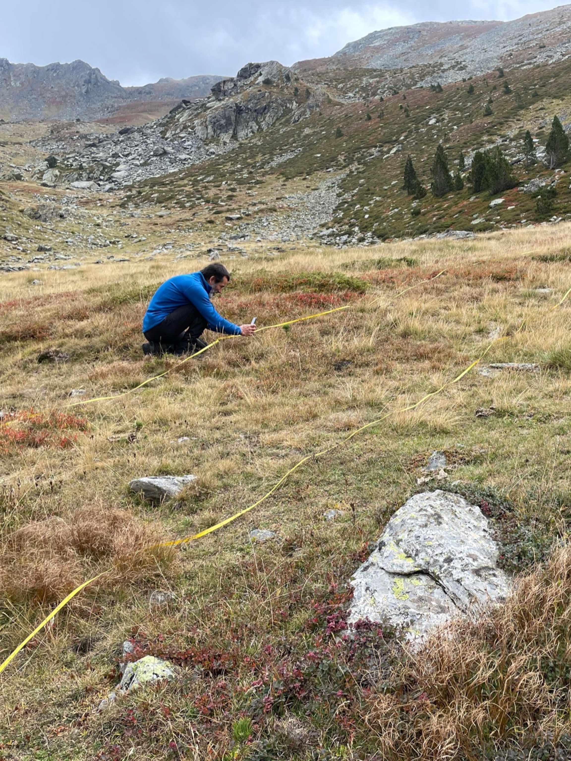 Lead researcher Bernat Claramunt-López measures tree seedlings in an experiment that assess the growth of black pines and Scots pines at different elevations.