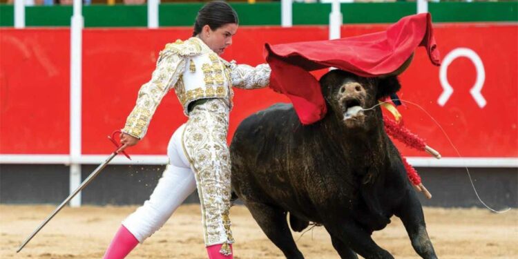 How the EU keeps bullfighting alive