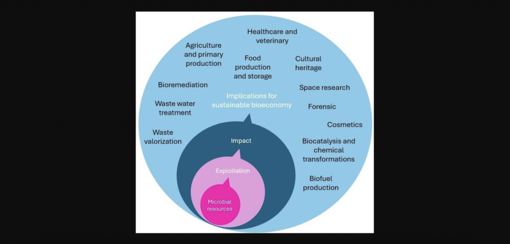 How microbial culture collections hold up a more sustainable, competitive, and resilient bioeconomy