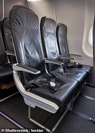 Pictured: Empty seats on a British Airways A320 in economy Euro Traveller