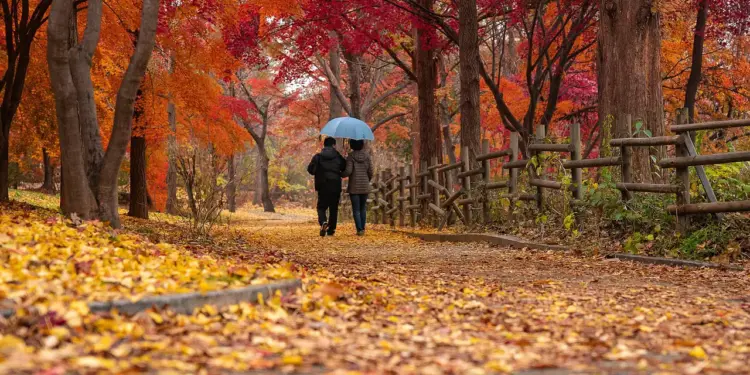 Autumn Couple Walk Fall Destinations