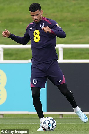 Dominic Solanke is back in the England set-up after a seven year absence