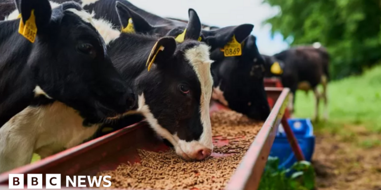 Government wants new agri-food agreement with EU