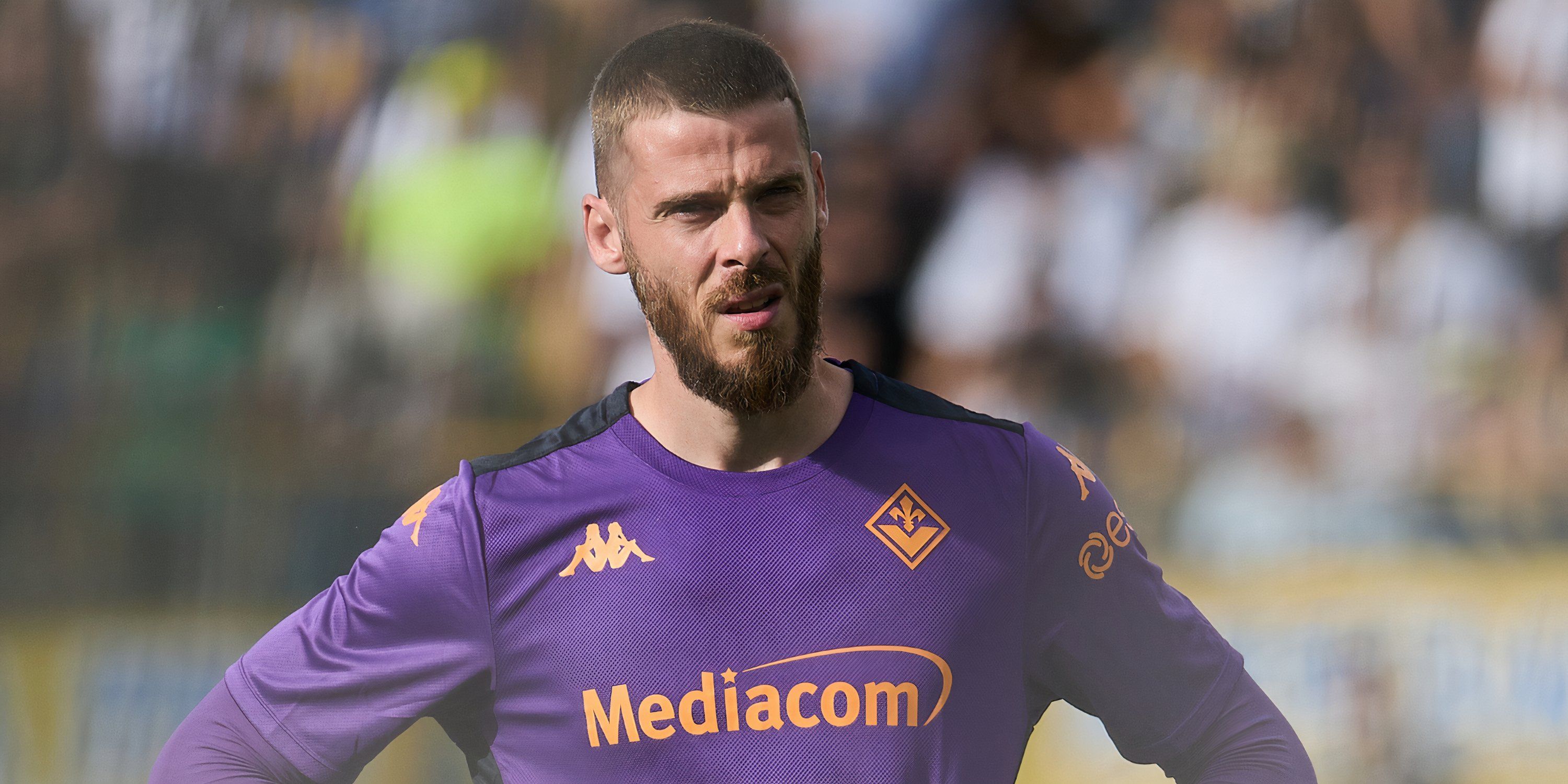 David de Gea of ACF Fiorentina warms up