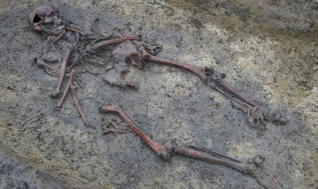 Meet the ancestors: 50 skeletons from the Viking age uncovered in long-lost burial ground in Denmark