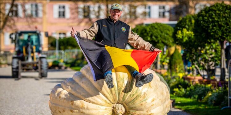The fattest pumpkin in Europe comes from Belgium