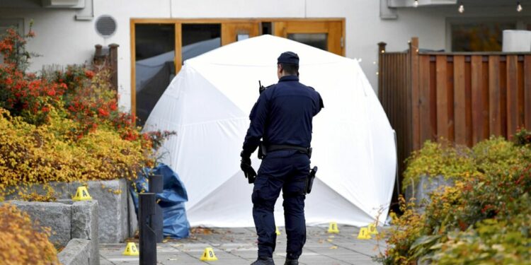 Video. Gang warfare propels Sweden's homicide rate among Europe's highest