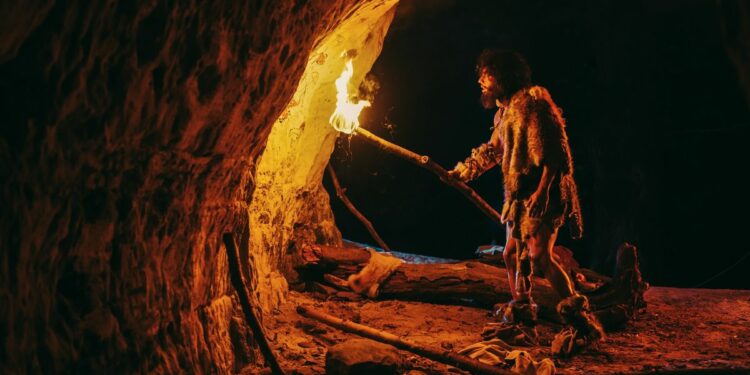 A recreation of an ancient human wearing furs and holding a torch walking into a cave