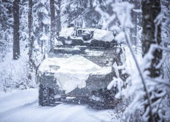 Lithuania to Receive More Boxer Vehicles from OCCAR, German Consortium