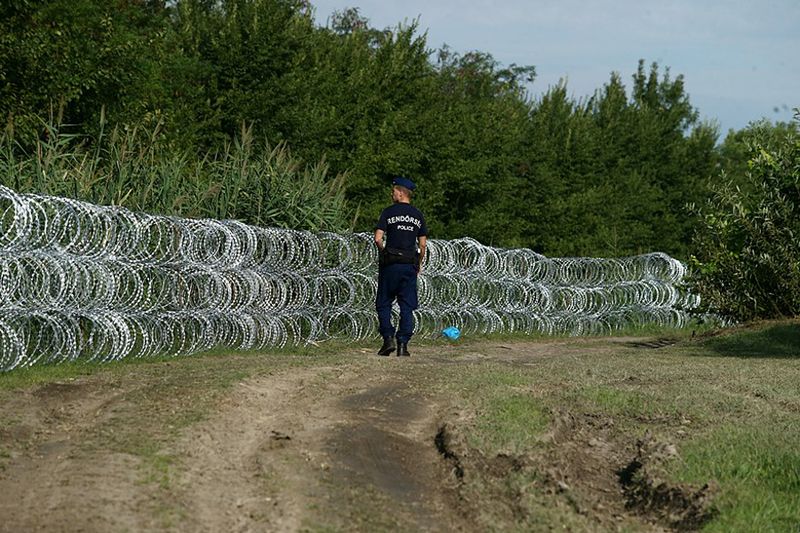 A police officer walks along a barbed wire fence near a grassy dirt path, surrounded by dense greenery.