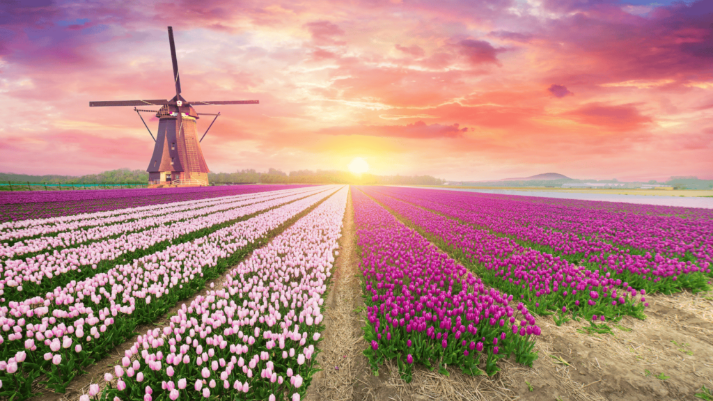 14 US Cities That Look Identical to Europe