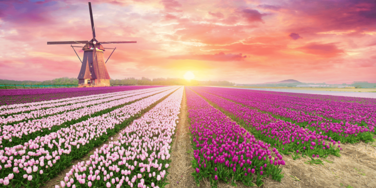 14 US Cities That Look Identical to Europe