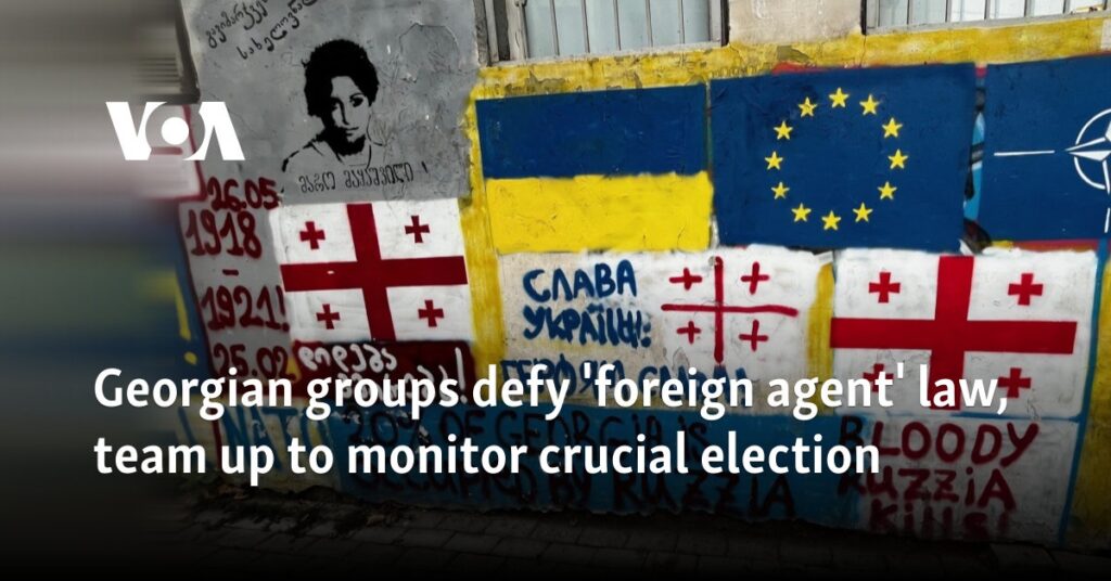 Georgian groups defy ‘foreign agent’ law, team up to monitor crucial election