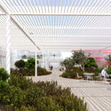 Coldefy Wins International Competition to Design Tirana's Public Administration Hub in Albania - Image 4 of 10