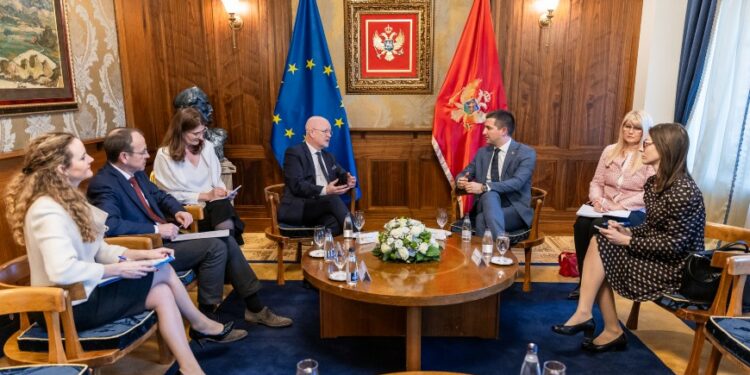 Council of Europe anti-torture Committee (CPT) holds high-level talks in Montenegro