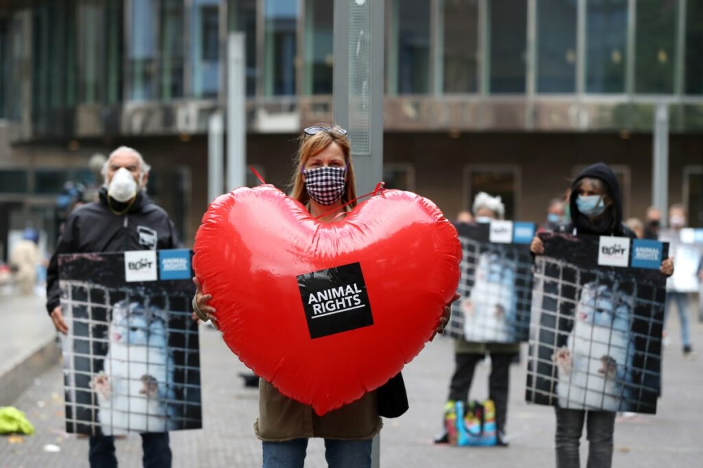 Romanian lawmakers vote to phase out fur farming from 2027