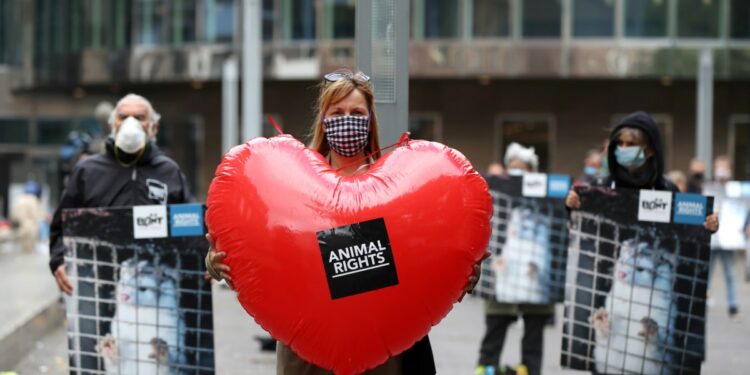 Romanian lawmakers vote to phase out fur farming from 2027