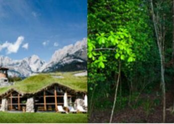 Beyond Green welcomes new member properties in Africa, Europe, and Latin America Beyond Green welcomes new member properties in Africa, Europe, and Latin America