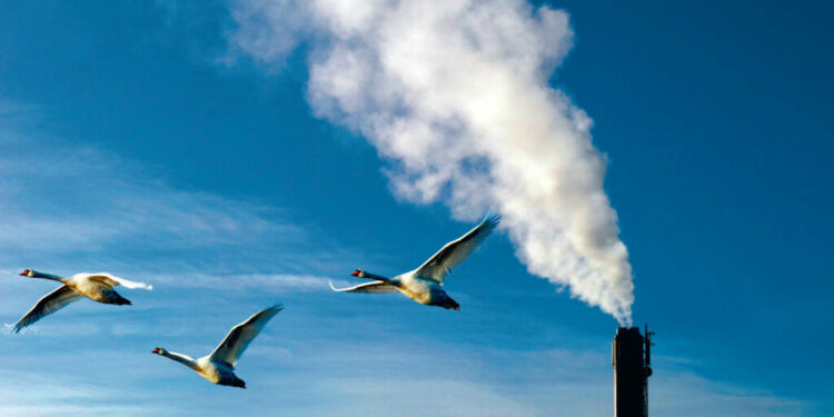 EU EfW sector reports positive business outlook
