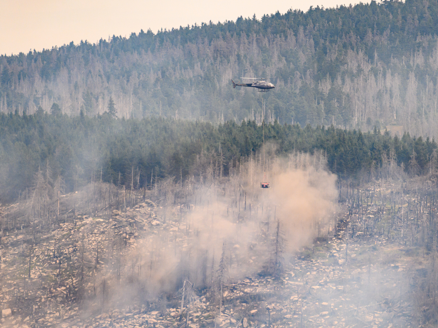 Climate change favors forest fires and harms health