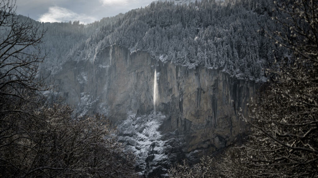 Swiss voters reject plan to boost biodiversity, vote against pension reform