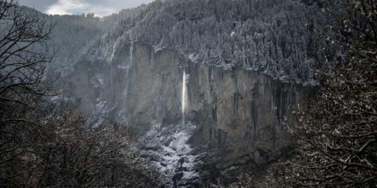 Swiss voters reject plan to boost biodiversity, vote against pension reform