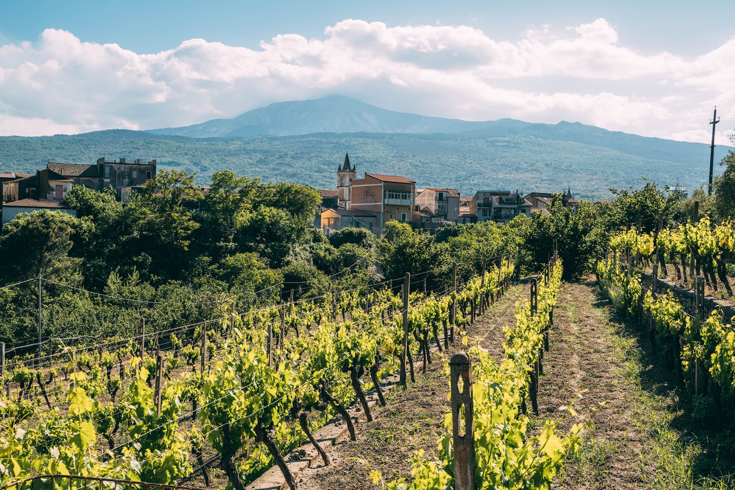 The vineyards around the town of Linguaglossa with Mount Etna in the background.