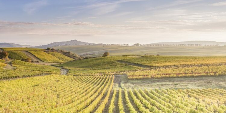 Seven of Europe’s best scenic rail journeys for spectacular autumn colours