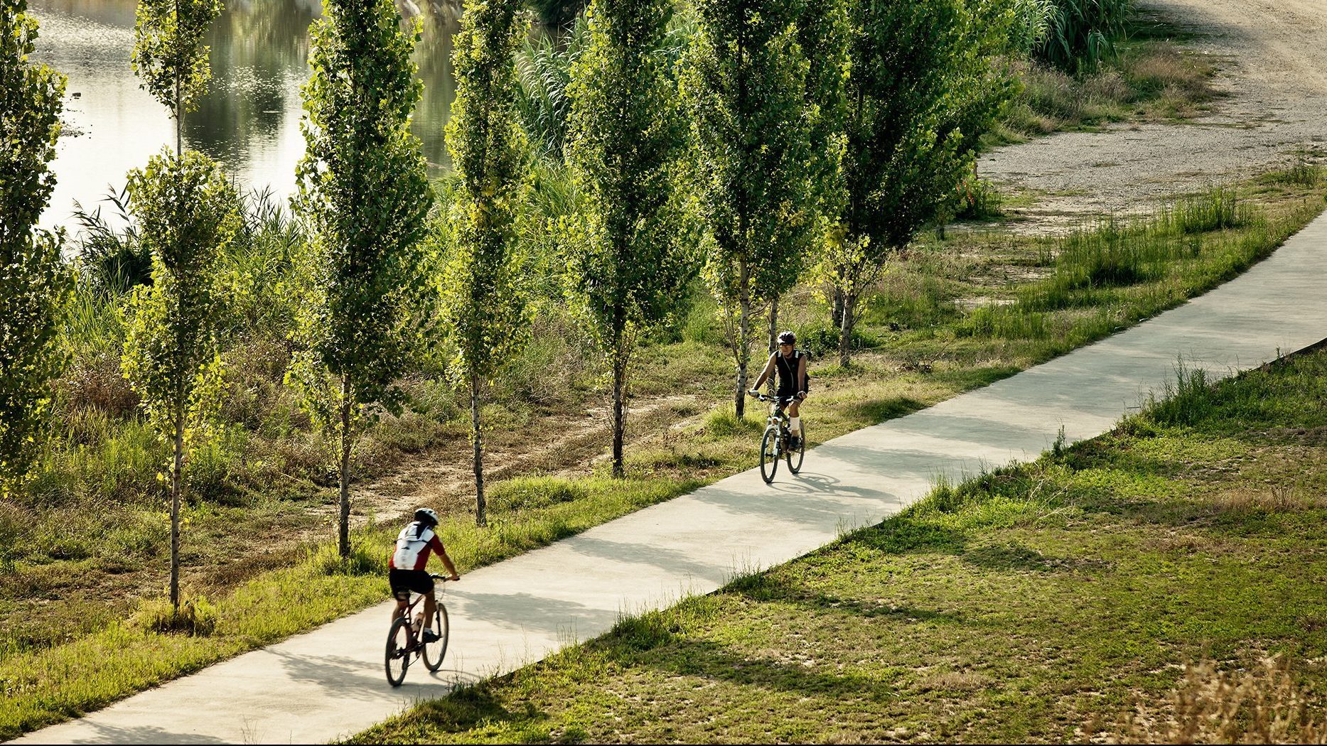 Nature-based solutions are an essential strategy for adapting cities to climate change. Photo: Jordi Surroca