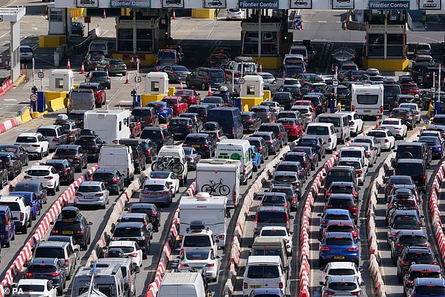 Queues at the Port of Dover - one of the locations where the postponed EES will be introduced