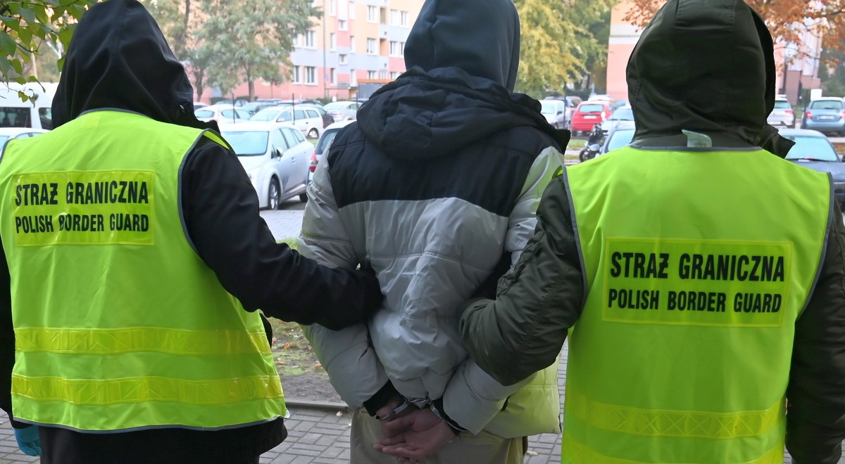 Operational materials of Poland's Border Guard and Europol 