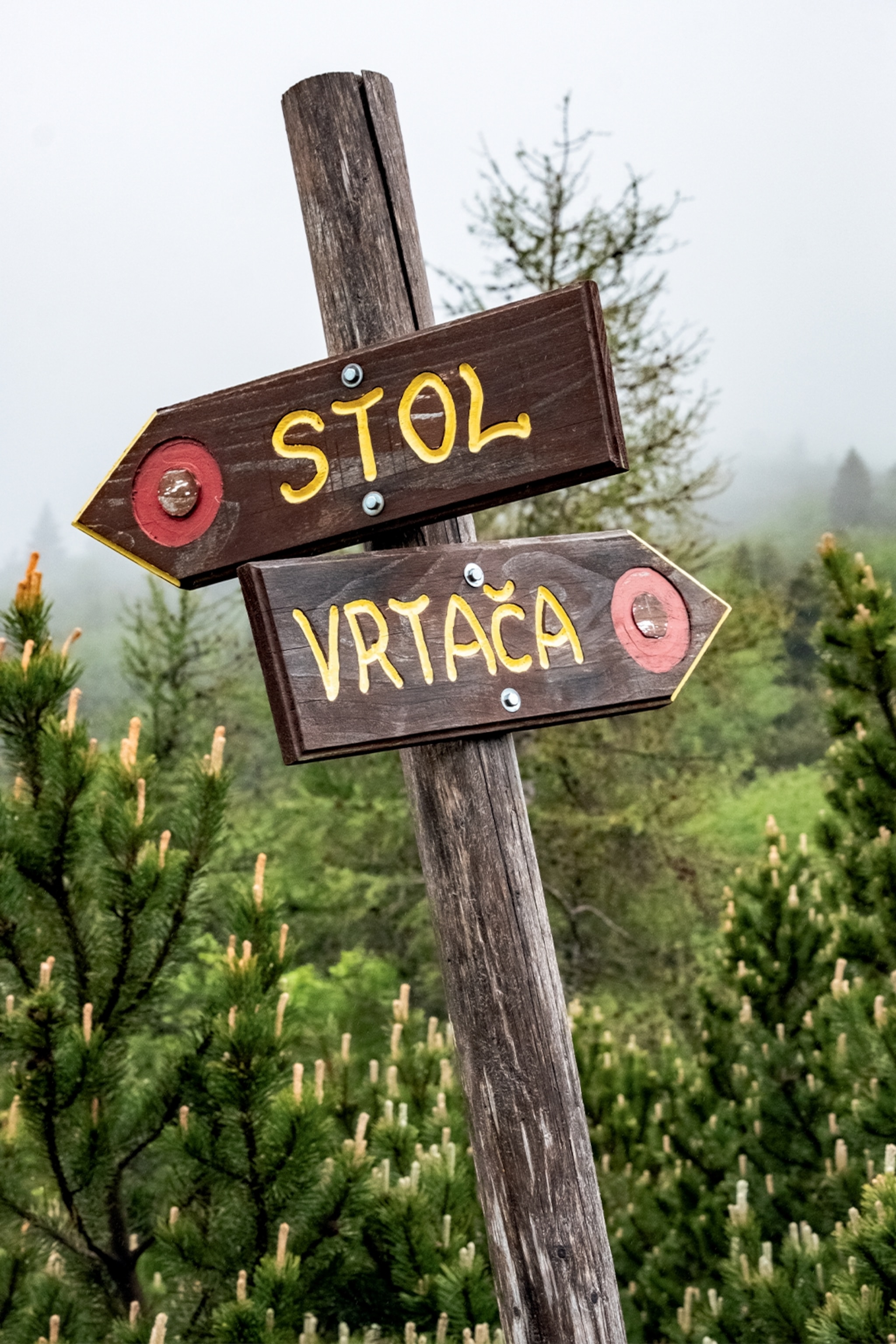 signs marking the road