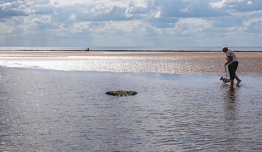 Woman walking her dog in Hunstanton beach