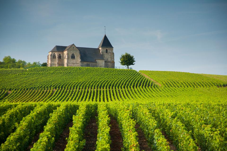 Don't forget to visit a champagne house too