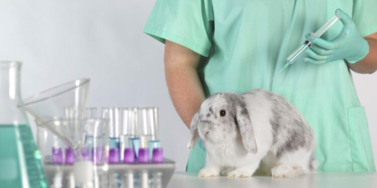 Europe’s animal testing legislative reform agenda boosted by grassroots concerns – Euractiv