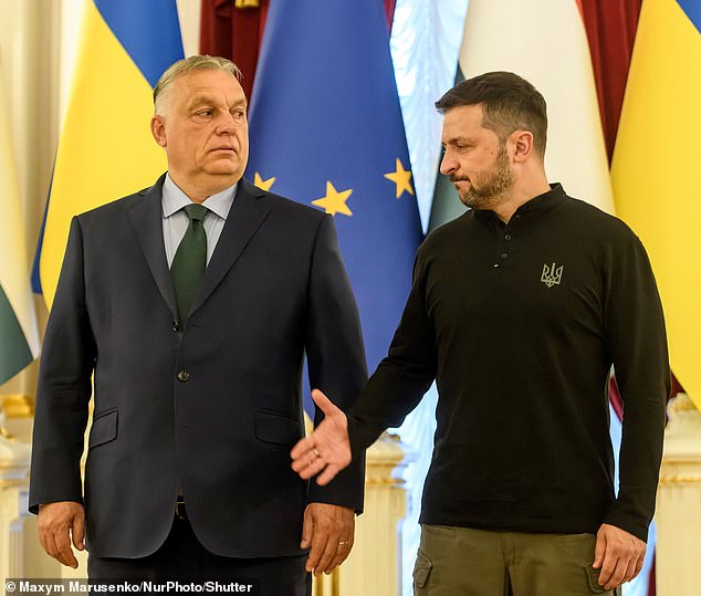 Awkward: Viktor Orban and Volodymyr Zelensky meet in Kyiv. The Hungarian prime minister told Zelensky that Ukraine should lay down its arms against Russia