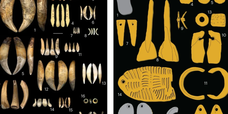 Animal teeth and illustrations of small carved ivory ornaments