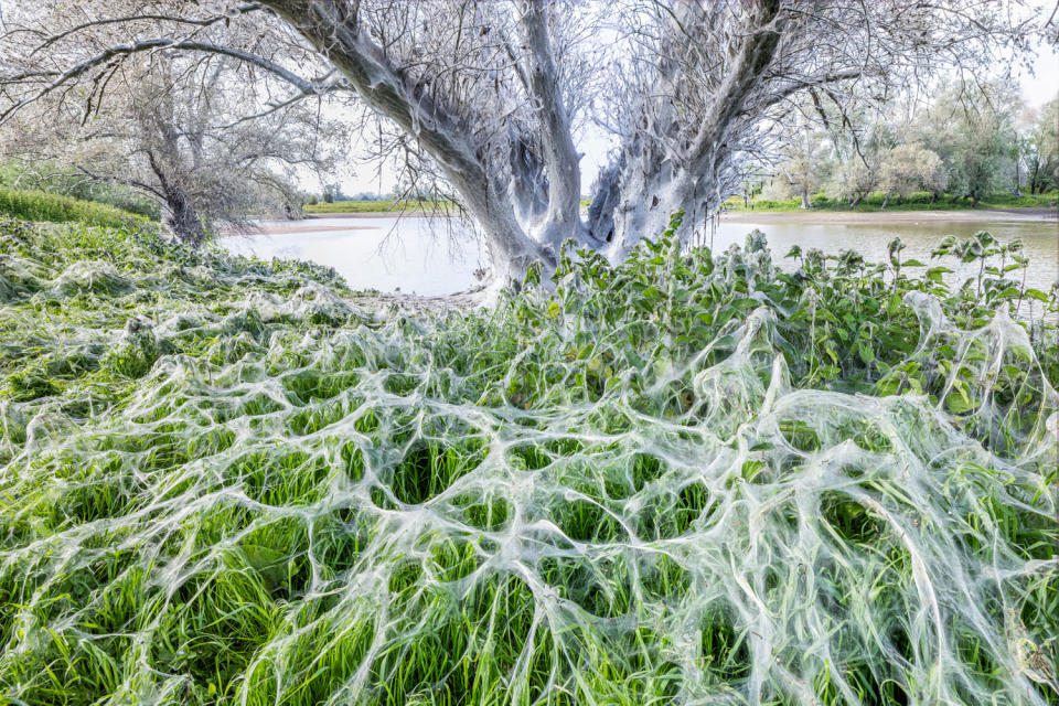 Entrant to the GDT European Wildlife Photographer of the Year 2024 competition