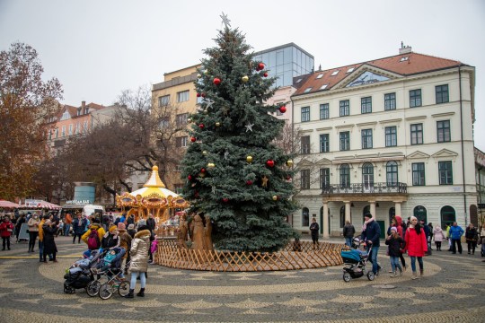 people visiting Christmas Market Bratislava