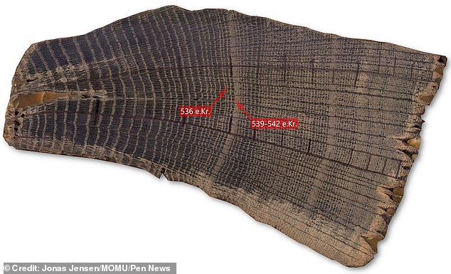 By analysing tree rings, scientists at the National Museum of Denmark proved a real-life climate catastrophe took place 1,500 years ago