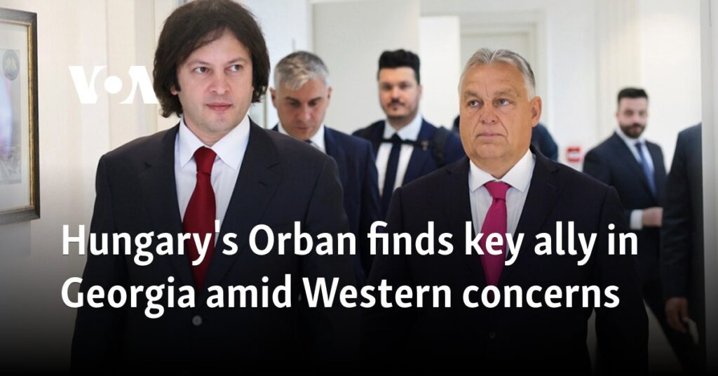 Hungary's Orban finds key ally in Georgia amid Western concerns