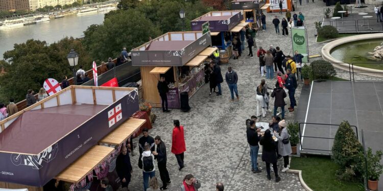 A Celebration Of Hungary’s Wine Heritage