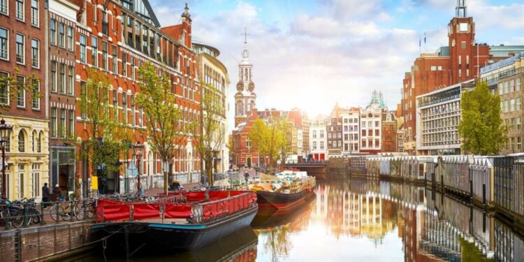 A step-by-step guide to securing a DAFT visa for American expats